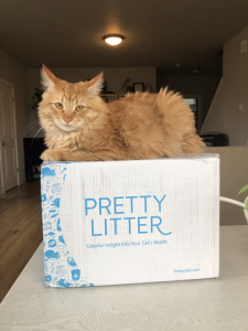 pretty litter